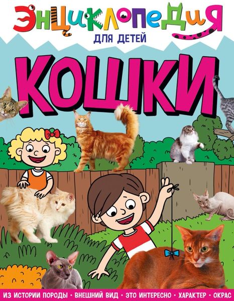 Обложка книги  «Кошки»