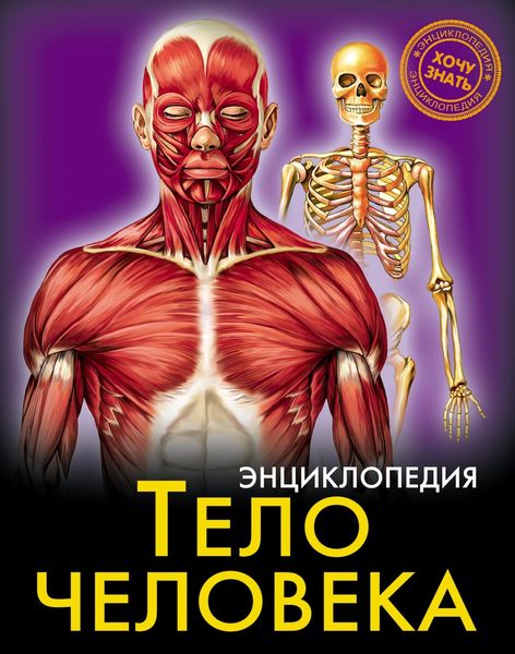 Обложка книги  «Тело человека»