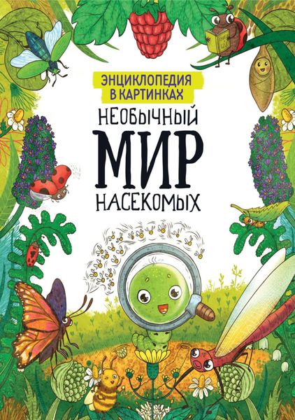 Обложка книги  «Необычный мир насекомых»