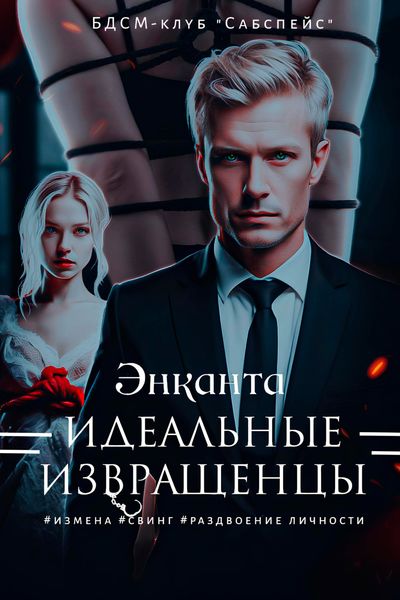 Обложка книги «Идеальные извращенцы»
