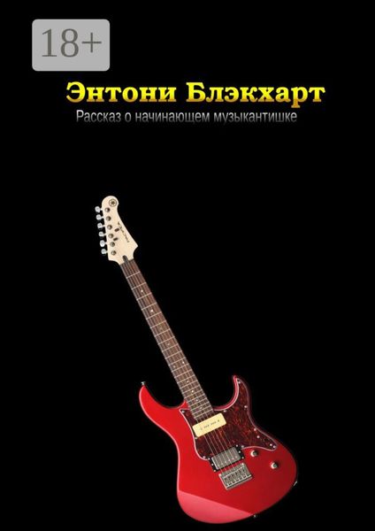 Обложка книги  «Рассказ о начинающем музыкантишке»
