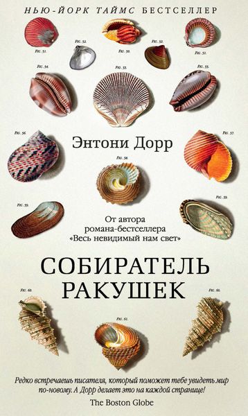 Обложка книги «Собиратель ракушек»