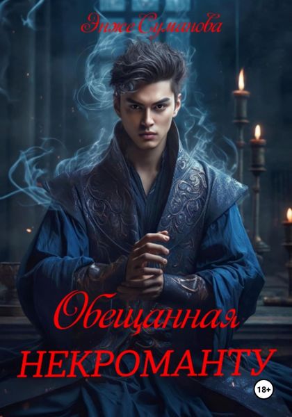 Обложка книги  «Обещанная некроманту»