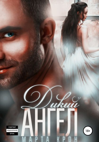 Обложка книги  «Дикий ангел»
