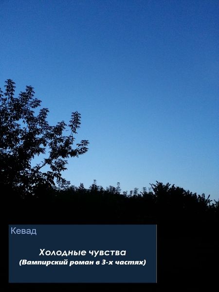 Обложка книги  «Холодные чувства. Вампирский роман»