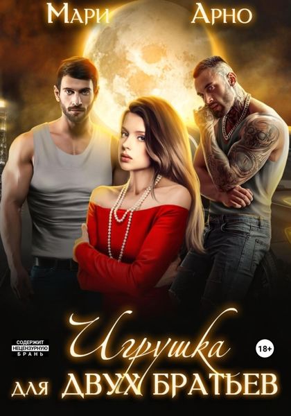 Обложка книги  «Игрушка для двух братьев»