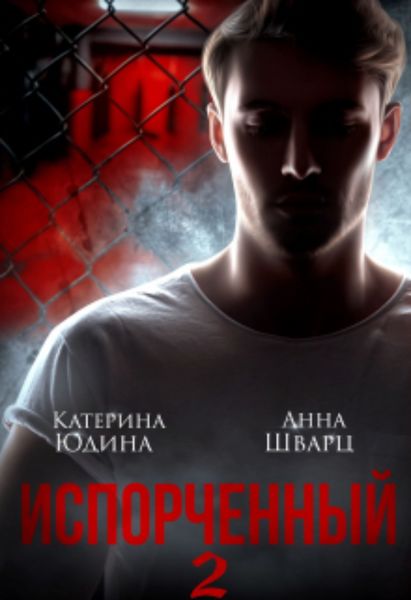 Обложка книги  «Испорченный… Книга 2»