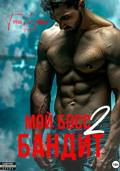 Обложка книги  «Мой босс – бандит 2»