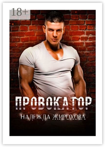 Обложка книги  «Провокатор»