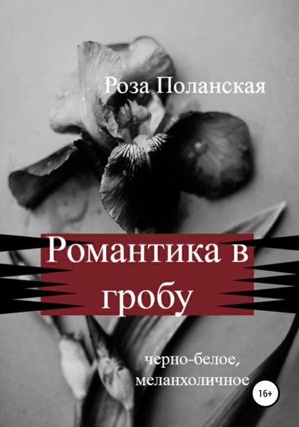 Обложка книги  «Романтика в гробу»