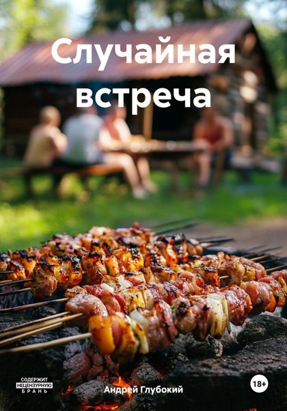 Обложка книги  «Случайная встреча»