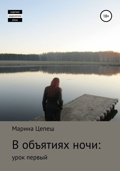 Обложка книги  «В объятиях ночи: урок первый»