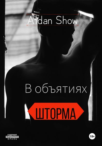 Обложка книги  «В объятиях Шторма»