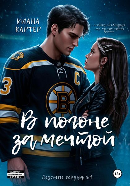 Обложка книги  «В погоне за мечтой»