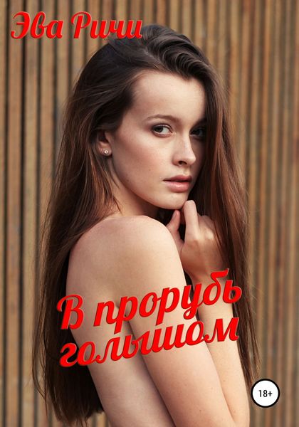 Обложка книги  «В прорубь голышом»
