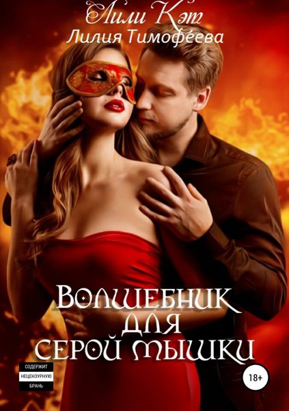 Обложка книги  «Волшебник для серой мышки»