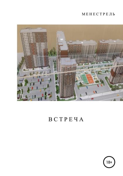 Обложка книги  «Встреча»