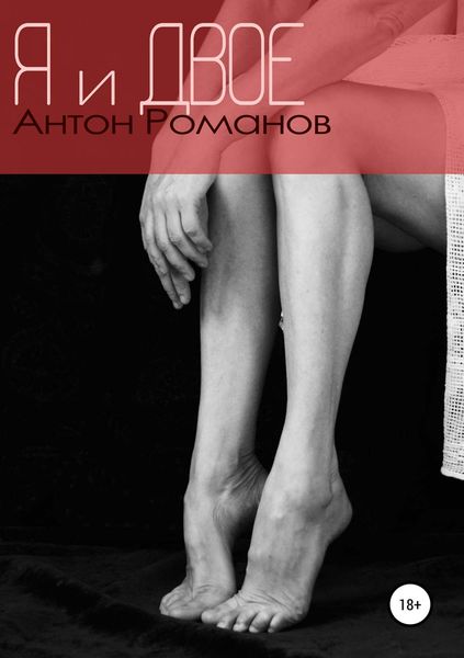Обложка книги «Я и двое»