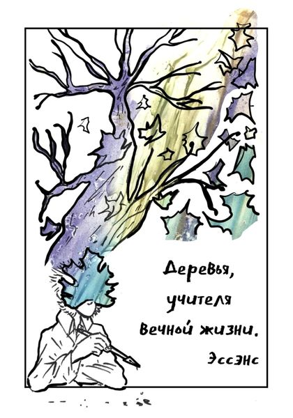 Обложка книги  «Деревья, учителя вечной жизни»
