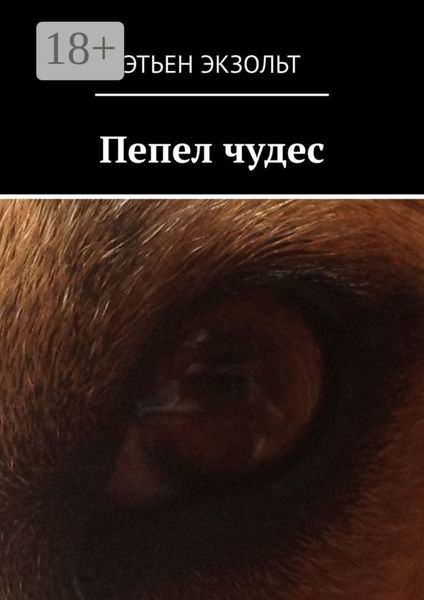 Обложка книги  «Пепел чудес»