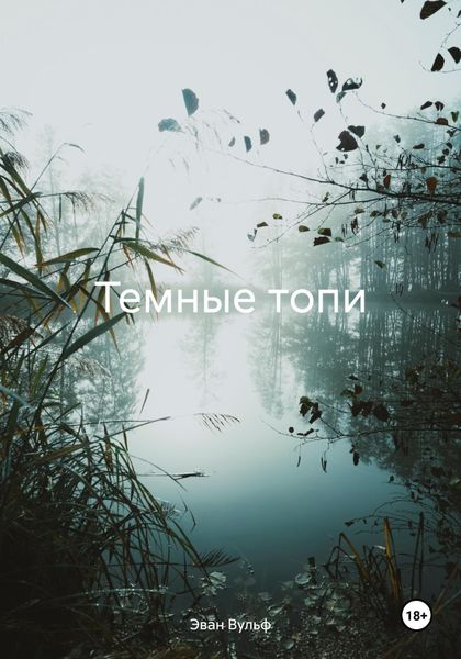 Обложка книги  «Темные топи»