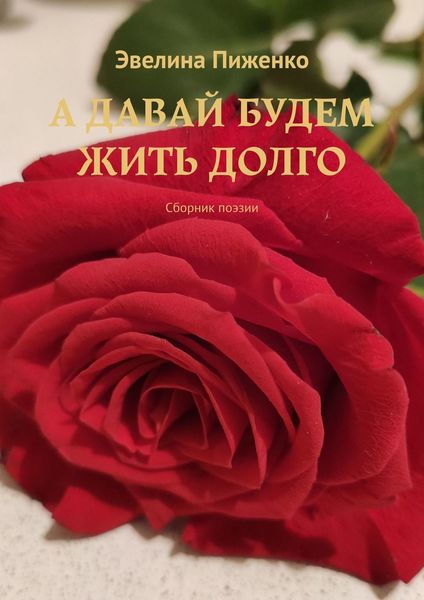 Обложка книги  «А ДАВАЙ БУДЕМ ЖИТЬ ДОЛГО. Сборник поэзии»