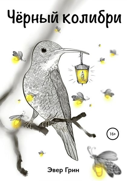 Обложка книги  «Чёрный Колибри»