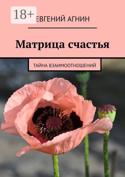 Обложка книги  «Матрица счастья. Тайна взаимоотношений»