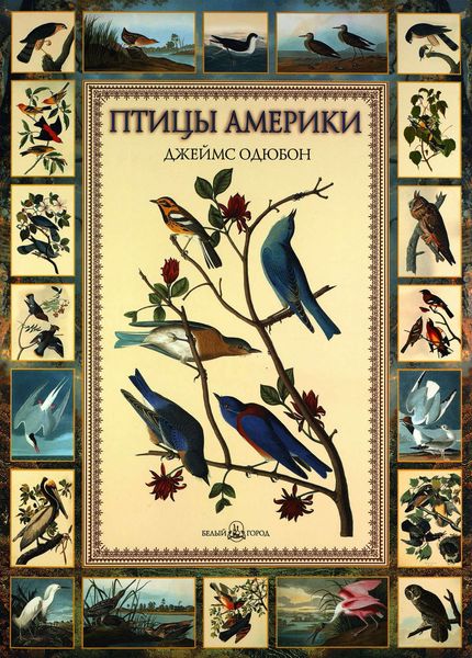 Обложка книги  «Птицы Америки»