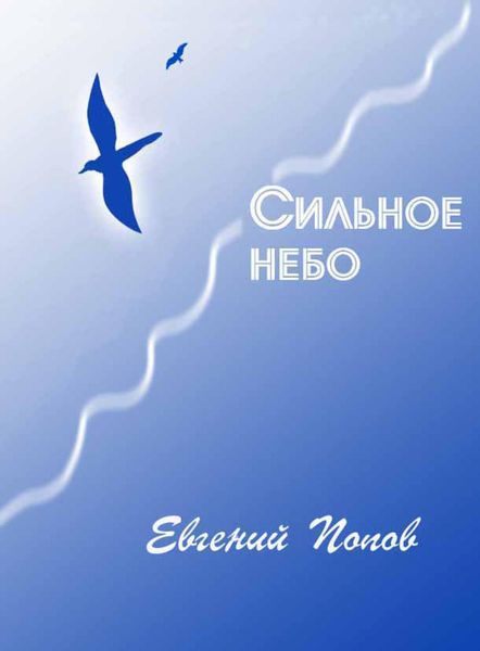 Обложка книги  «Сильное небо»
