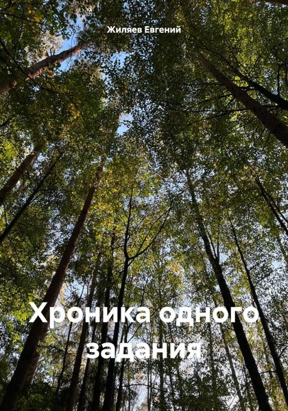 Обложка книги «Хроника одного задания»