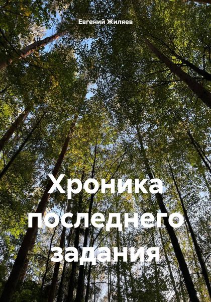 Обложка книги «Хроника последнего задания»