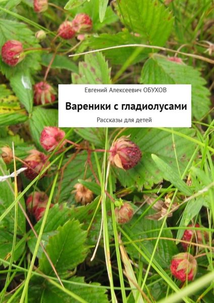 Обложка книги «Вареники с гладиолусами. Рассказы для детей»