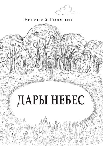 Обложка книги «Дары небес»