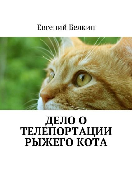 Обложка книги «Дело о телепортации рыжего кота»