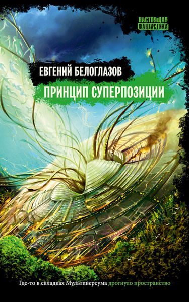 Обложка книги «Принцип суперпозиции»