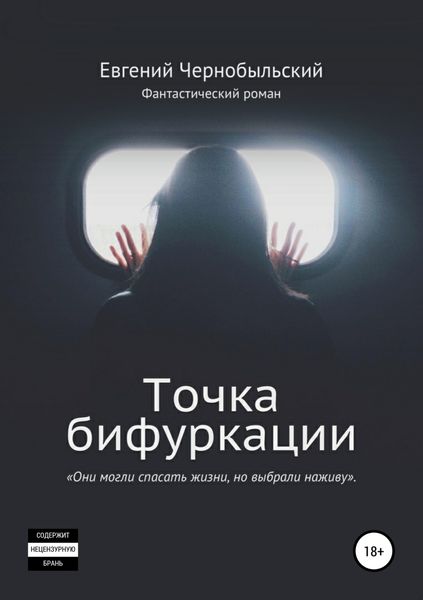 Обложка книги  «Точка бифуркации»