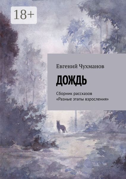 Обложка книги «Дождь. Сборник рассказов «Разные этапы взросления»»