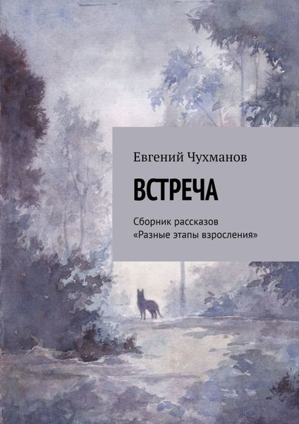Обложка книги «Встреча. Сборник рассказов «Разные этапы взросления»»
