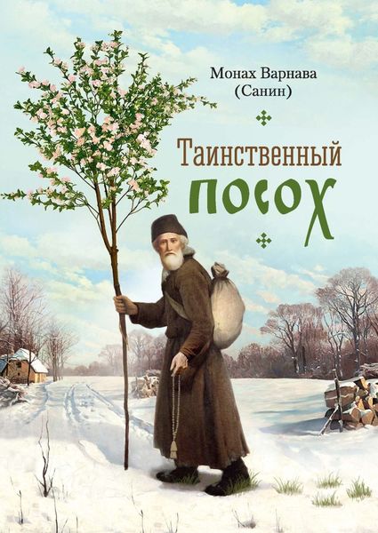 Обложка книги «Таинственный посох»