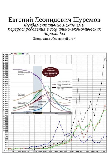 Обложка книги «Фундаментальные механизмы перераспределения в социально-экономических пирамидах. Экономика обезьяньей стаи»
