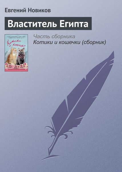 Обложка книги «Властитель Египта»