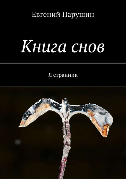Обложка книги  «Книга снов»