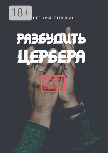 Обложка книги  «Разбудить цербера»