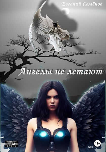 Обложка книги  «Ангелы не летают»