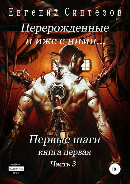 Обложка книги «Перерожденные и иже с ними… Первые шаги. Книга первая. Часть третья»