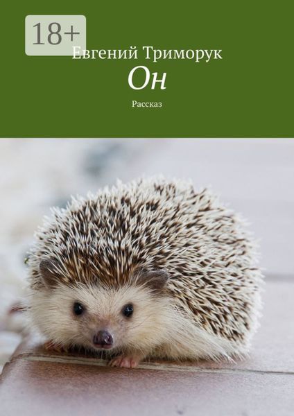 Обложка книги  «Он. Рассказ»