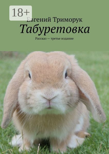 Обложка книги  «Табуретовка. Рассказ. Третье издание»