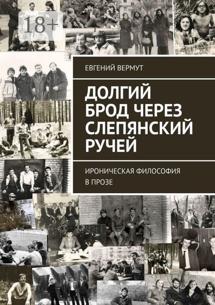 Обложка книги  «Долгий брод через Слепянский ручей. Ироническая философия в прозе»