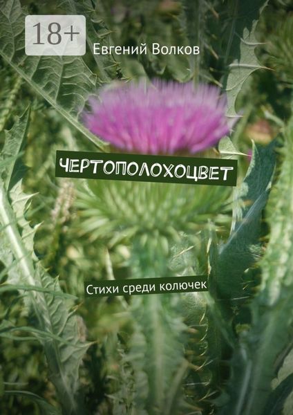Обложка книги  «Чертополохоцвет. Стихи среди колючек»